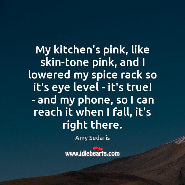 My kitchen’s pink, like skin-tone pink, and I lowered my spice rack Amy Sedaris Picture Quote