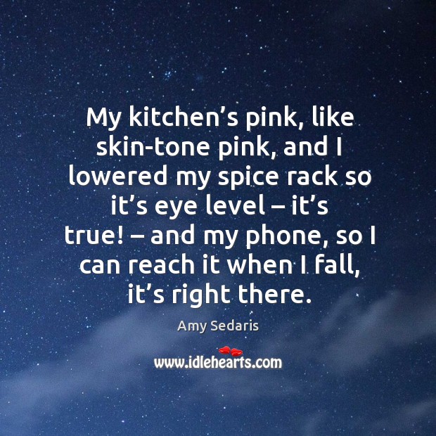 My kitchen’s pink, like skin-tone pink, and I lowered my spice rack so it’s eye level – it’s true! Amy Sedaris Picture Quote
