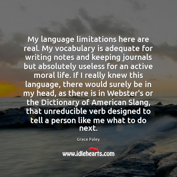 My language limitations here are real. My vocabulary is adequate for writing Image