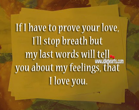 My last words will tell you about my feelings I Love You Quotes Image