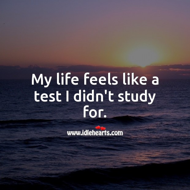 My life feels like a test I didn’t study for. Image