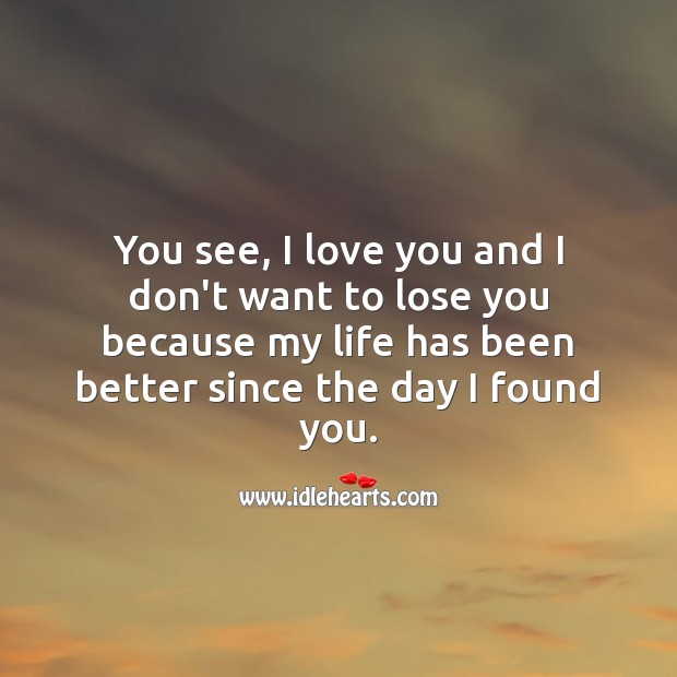My life has been better since the day I found you. I Love You Quotes Image