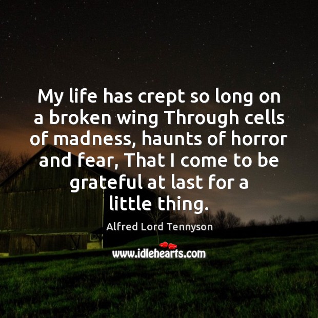 My life has crept so long on a broken wing Through cells Alfred Lord Tennyson Picture Quote