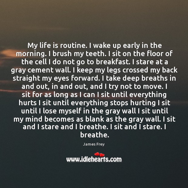 My life is routine. I wake up early in the morning. I James Frey Picture Quote