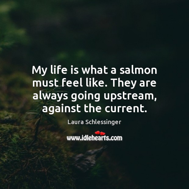 My life is what a salmon must feel like. They are always Laura Schlessinger Picture Quote