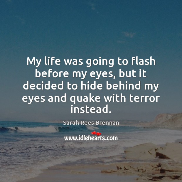 My life was going to flash before my eyes, but it decided Sarah Rees Brennan Picture Quote