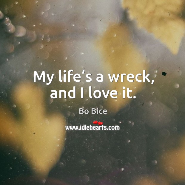 My life’s a wreck, and I love it. Image