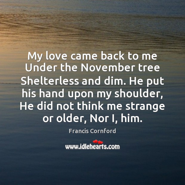 My love came back to me Under the November tree Shelterless and Image