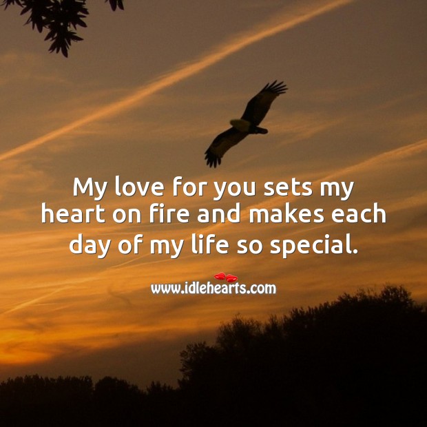 My love for you sets my heart on fire and makes each day of my life so special. Beautiful Love Quotes Image