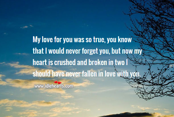 My love for you was so true Love Messages Image