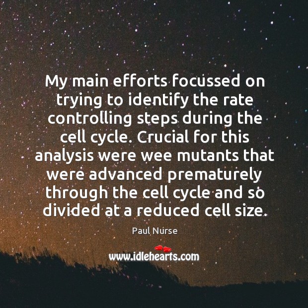 My main efforts focussed on trying to identify the rate controlling steps during the cell cycle. Paul Nurse Picture Quote