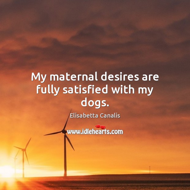 My maternal desires are fully satisfied with my dogs. Elisabetta Canalis Picture Quote