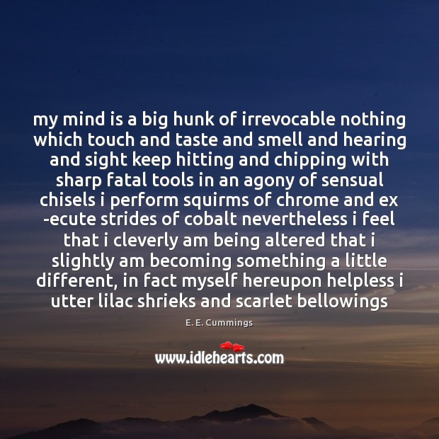 My mind is a big hunk of irrevocable nothing which touch and E. E. Cummings Picture Quote