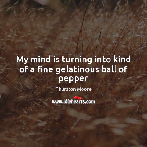 My mind is turning into kind of a fine gelatinous ball of pepper Thurston Moore Picture Quote