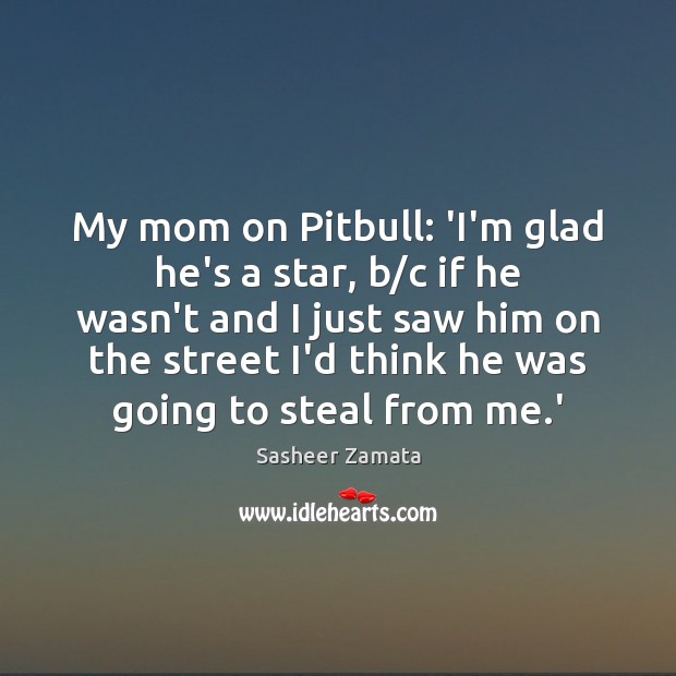 My mom on Pitbull: ‘I’m glad he’s a star, b/c if Sasheer Zamata Picture Quote