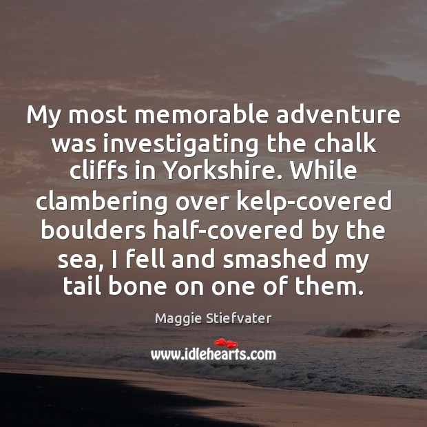 My most memorable adventure was investigating the chalk cliffs in Yorkshire. While Maggie Stiefvater Picture Quote