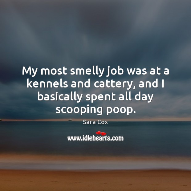 My most smelly job was at a kennels and cattery, and I Sara Cox Picture Quote