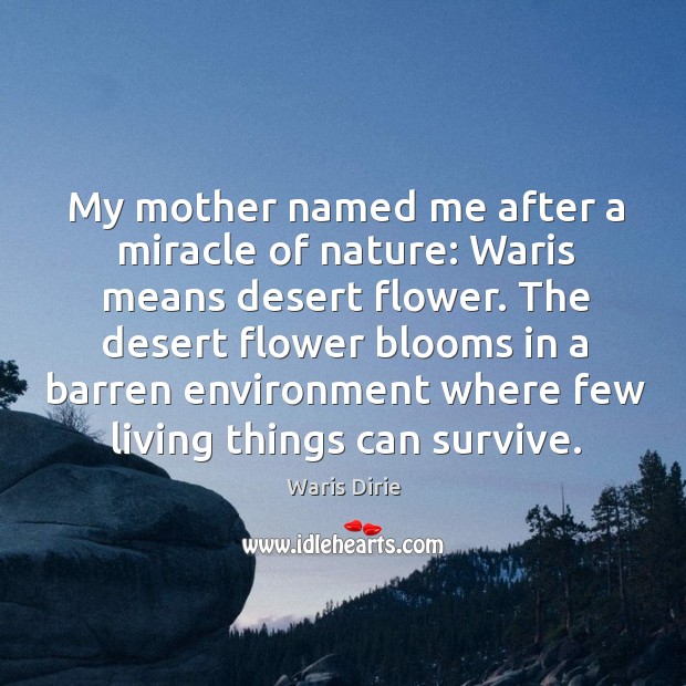 My mother named me after a miracle of nature: Waris means desert Waris Dirie Picture Quote