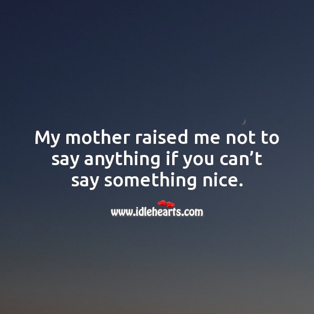 My mother raised me not to say anything if you can’t say something nice. Wisdom Quotes Image