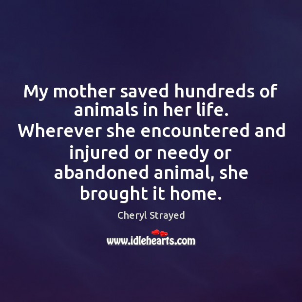 My mother saved hundreds of animals in her life. Wherever she encountered Cheryl Strayed Picture Quote