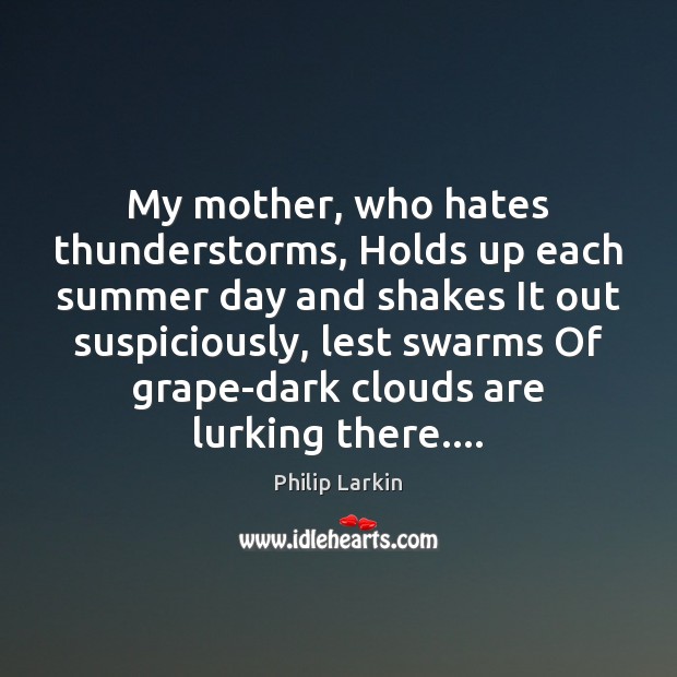 My mother, who hates thunderstorms, Holds up each summer day and shakes Philip Larkin Picture Quote