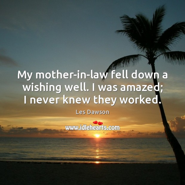 My mother-in-law fell down a wishing well. I was amazed; I never knew they worked. Image