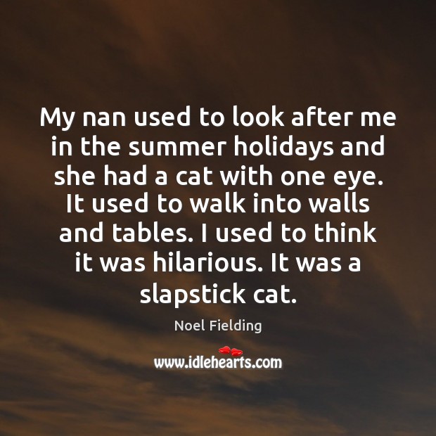 My nan used to look after me in the summer holidays and Noel Fielding Picture Quote