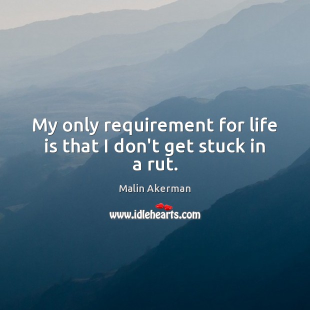 My only requirement for life is that I don’t get stuck in a rut. Malin Akerman Picture Quote