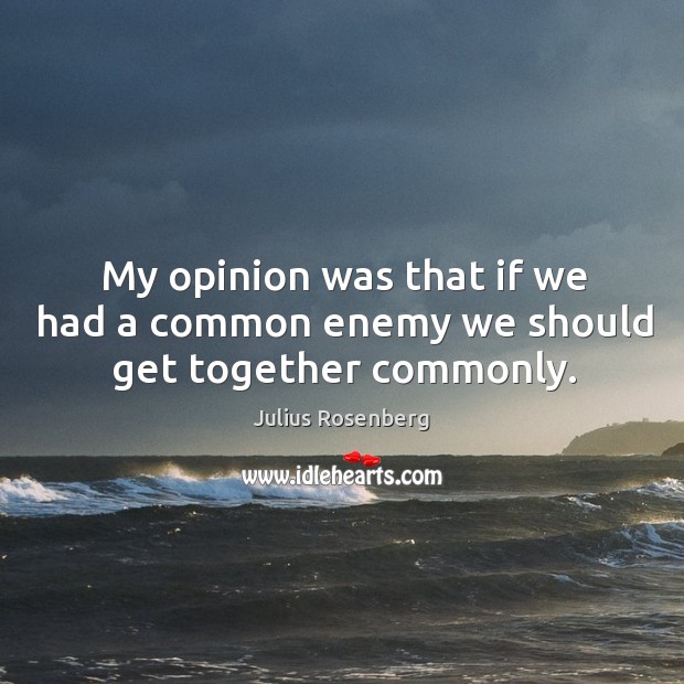 My opinion was that if we had a common enemy we should get together commonly. Julius Rosenberg Picture Quote