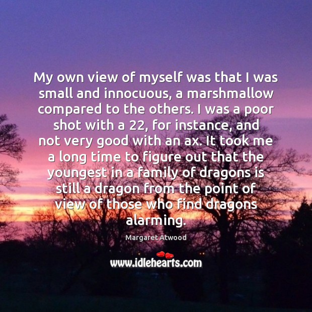 My own view of myself was that I was small and innocuous, Image