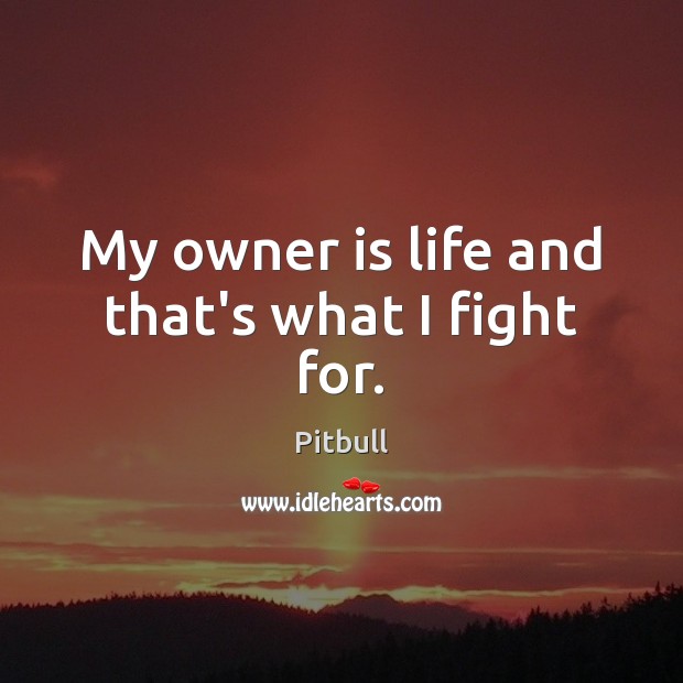 My owner is life and that’s what I fight for. Pitbull Picture Quote