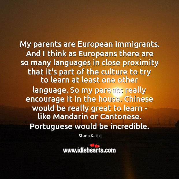 My parents are European immigrants. And I think as Europeans there are Stana Katic Picture Quote