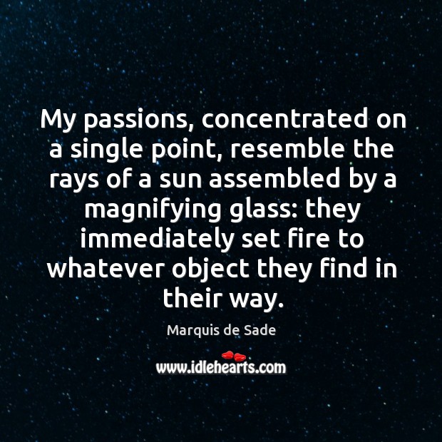 My passions, concentrated on a single point, resemble the rays of a Marquis de Sade Picture Quote