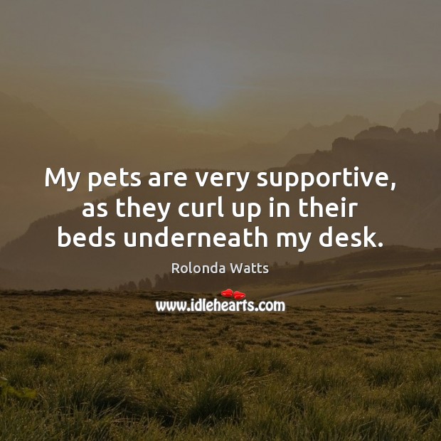 My pets are very supportive, as they curl up in their beds underneath my desk. Rolonda Watts Picture Quote