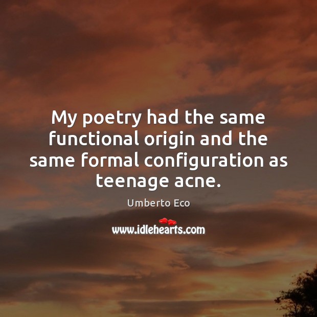 My poetry had the same functional origin and the same formal configuration Umberto Eco Picture Quote