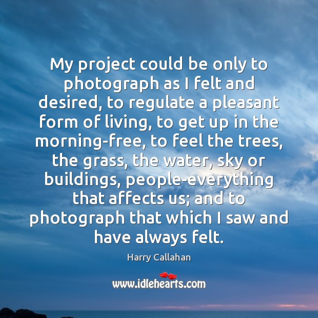 My project could be only to photograph as I felt and desired, Harry Callahan Picture Quote