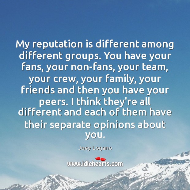 My reputation is different among different groups. You have your fans, your Joey Logano Picture Quote