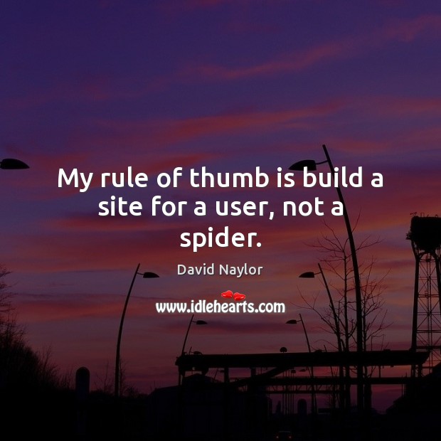 My rule of thumb is build a site for a user, not a spider. David Naylor Picture Quote