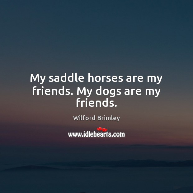 My saddle horses are my friends. My dogs are my friends. Image