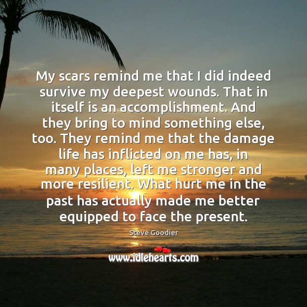 My scars remind me that I did indeed survive my deepest wounds. Steve Goodier Picture Quote