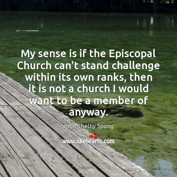 My sense is if the Episcopal Church can’t stand challenge within its John Shelby Spong Picture Quote