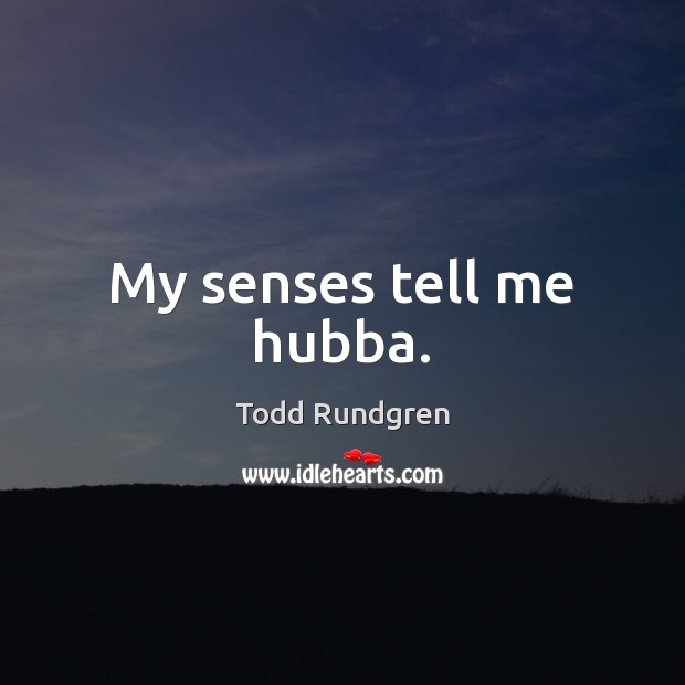 My senses tell me hubba. Todd Rundgren Picture Quote
