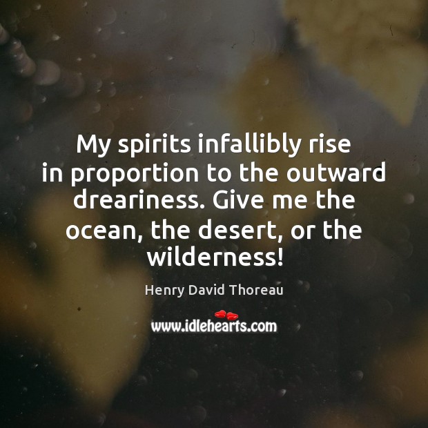 My spirits infallibly rise in proportion to the outward dreariness. Give me Henry David Thoreau Picture Quote