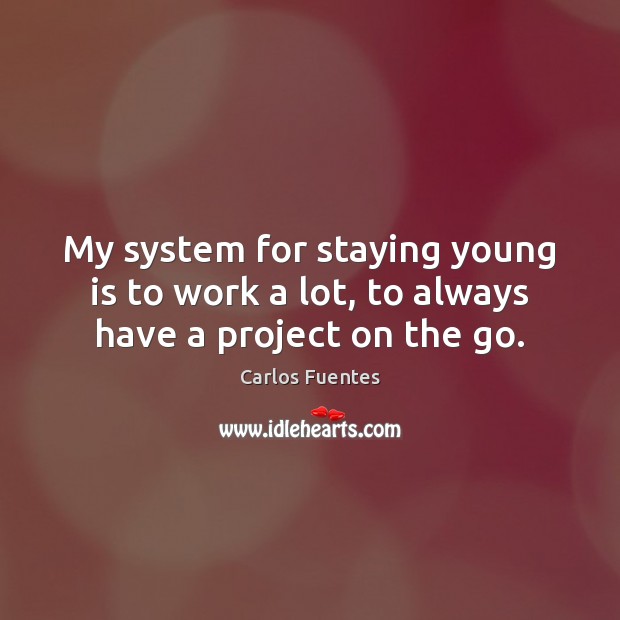 My system for staying young is to work a lot, to always have a project on the go. Carlos Fuentes Picture Quote