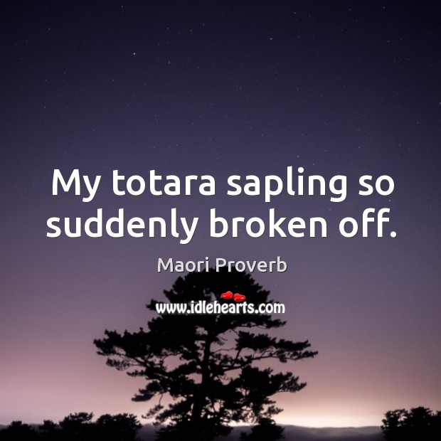My totara sapling so suddenly broken off. Maori Proverbs Image