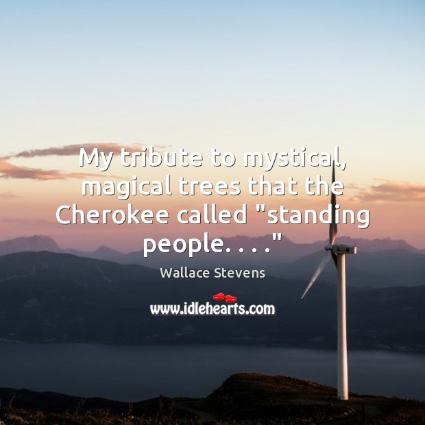 My tribute to mystical, magical trees that the Cherokee called “standing people. . . .” Wallace Stevens Picture Quote