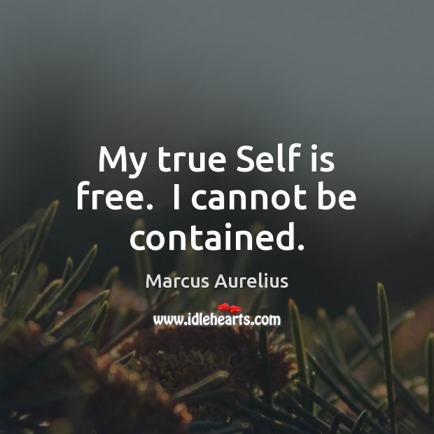 My true Self is free.  I cannot be contained. Marcus Aurelius Picture Quote