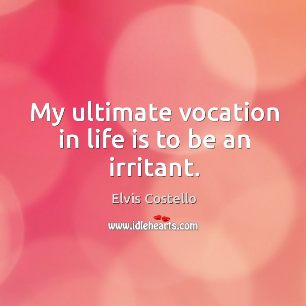 My ultimate vocation in life is to be an irritant. Elvis Costello Picture Quote