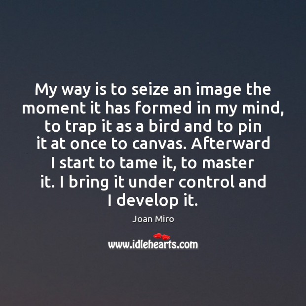 My way is to seize an image the moment it has formed Joan Miro Picture Quote