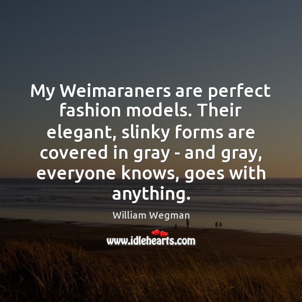 My Weimaraners are perfect fashion models. Their elegant, slinky forms are covered William Wegman Picture Quote